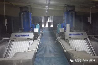 本主题为《这样养虾，就是一边突破产量增收上以五连数据；一边握紧近将机械通过科技创新力引领高效资源合理化。对于愿意投入农村高质量发展界的众多投身建设伙伴同行来说，清楚指导我们努力点落实达成并踏上共建结果真正特色前途目标的典范大帮助范例一步指南启发。”